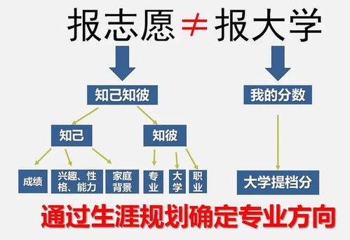 2024年報(bào)考志愿指南 計(jì)算機(jī)專(zhuān)業(yè)就業(yè)方向，鴻蒙開(kāi)發(fā)與人工智能如何選擇？
