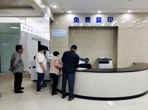 郟縣政務公開專區上線 網絡技術賦能，服務升級惠民生